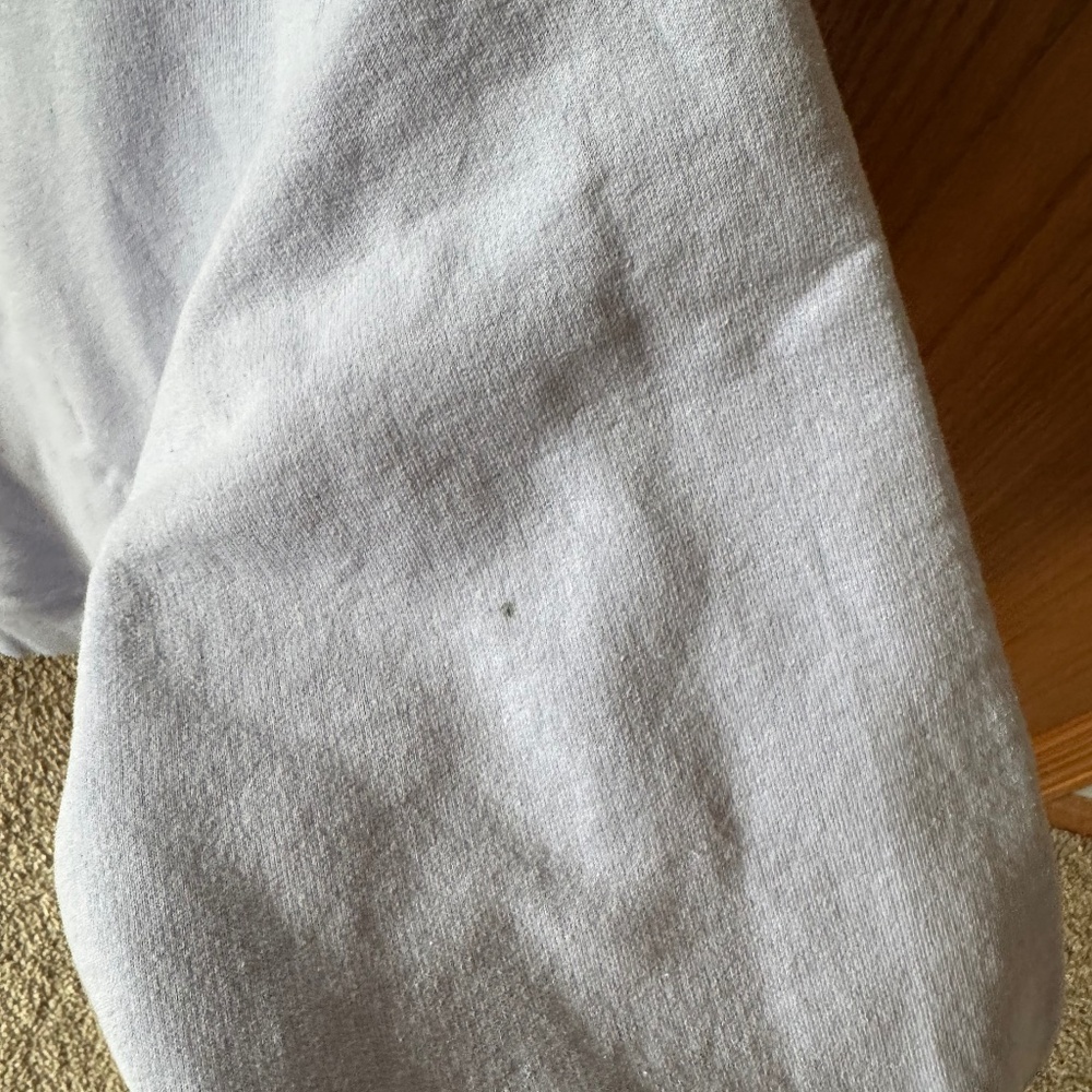 Champion Pastel Purple Sweater Mens Small